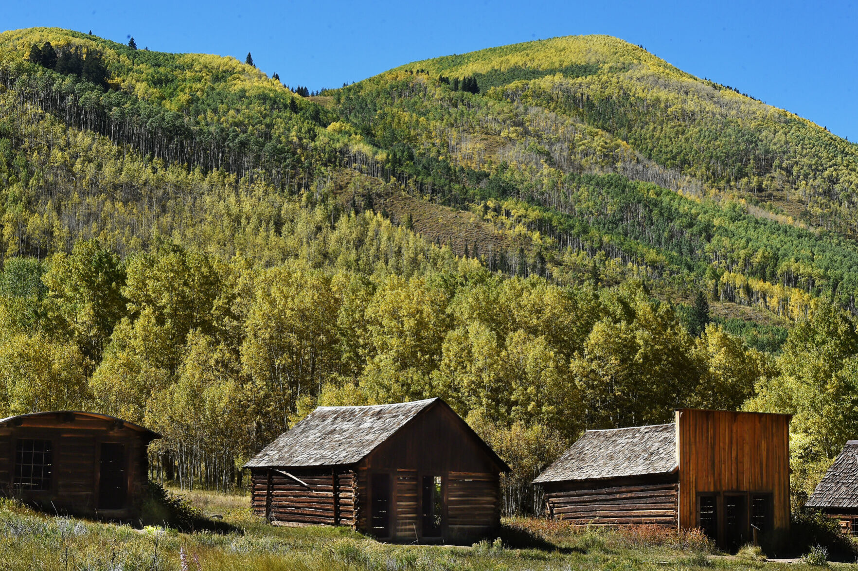 092821-news-aspens 08.JPG